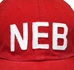 NEB Finley Cleanup Cap - HT-E8109