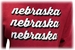 Nebraska Gals Corded Crop Hoodie - AS-C3041