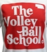 Nebraska Volleyball School Tee - AT-E4277